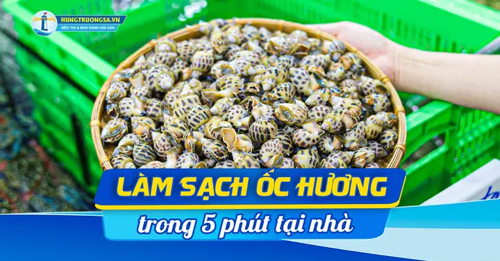 Cách Làm Sạch Ốc Hương