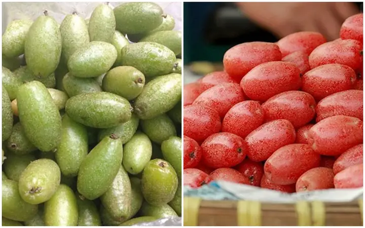 Cách Làm Sạch Phấn Quả Nhót