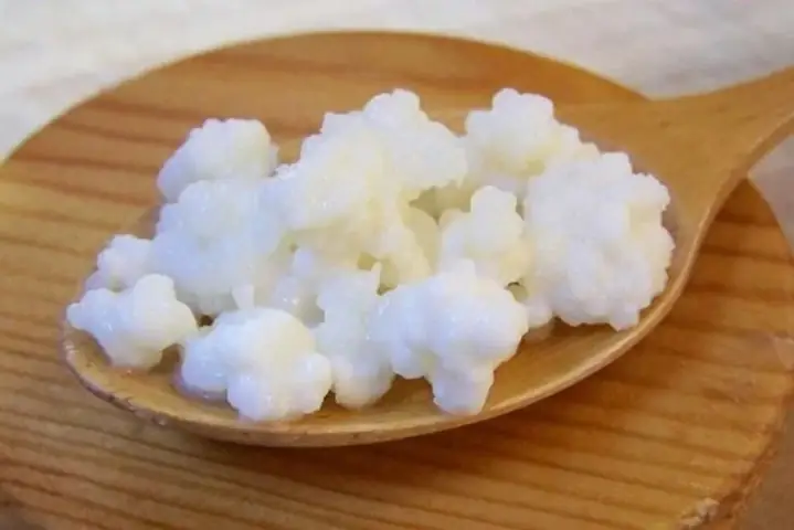 Cách Làm Sữa Chua Kefir