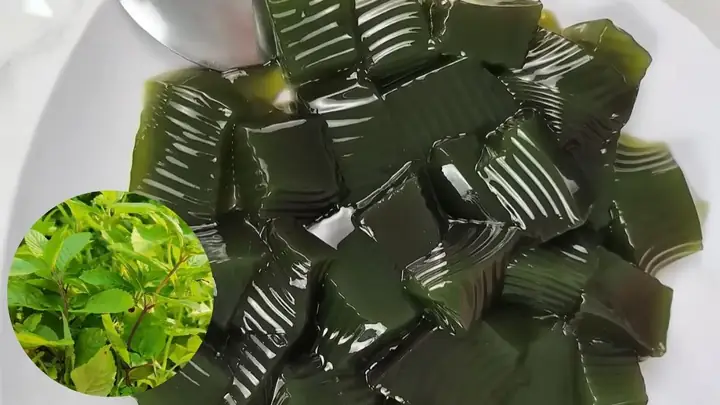 Cách Làm Sương Sáo Từ Lá Tươi