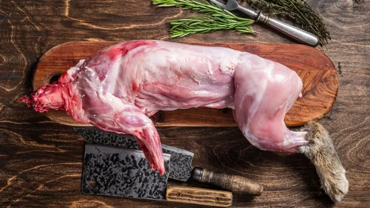 Cách Làm Thịt Thỏ Sống