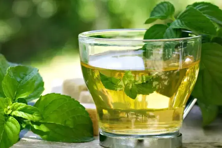 Cách Làm Trà Quất Bạc Hà