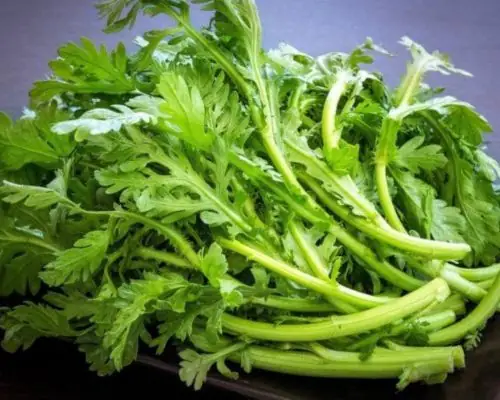 Cách Lặt Rau Cải Cúc