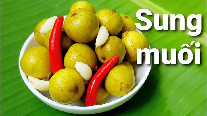 Cách Muối Quả Sung Ngon