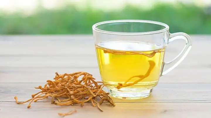 Cách Nấu Đông Trùng Hạ Thảo Khô