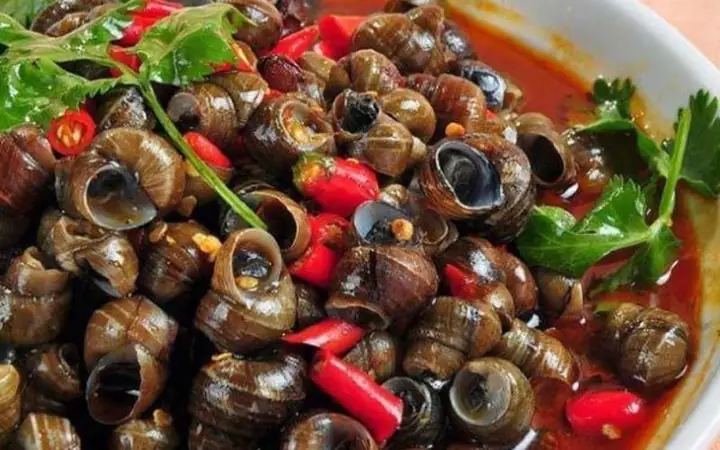 Cách Nấu Ốc Đắng Ngon