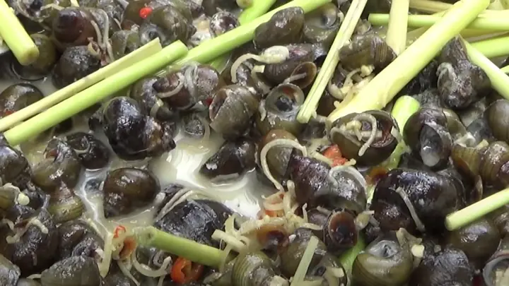 Cách Nấu Ốc Gạo Ngon