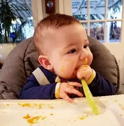 Cách Nấu Rắn Canh Gừng