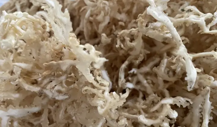 Cách Nấu Rau Câu Khô