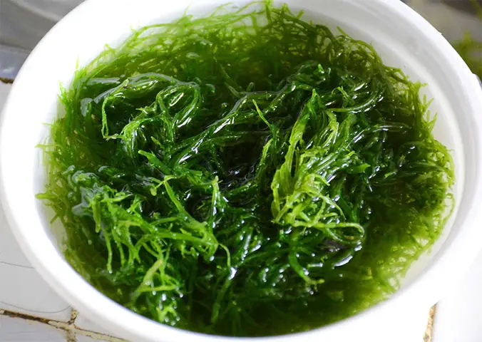 Cách Nấu Rong Biển Tươi