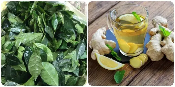 Cách Nấu Trà Xanh Với Gừng