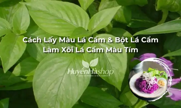 Cách Nấu Xôi Bằng Bột Lá Cẩm
