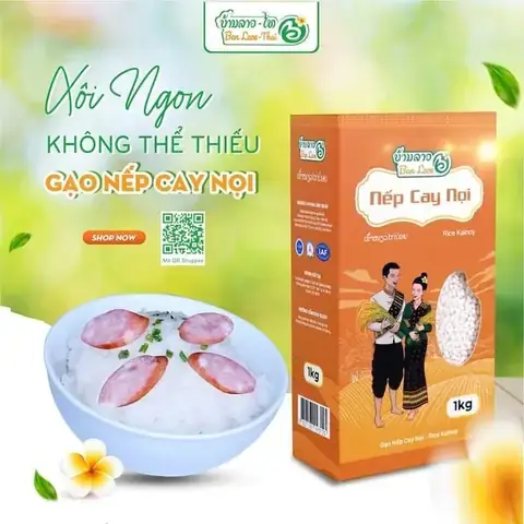 Cách Nấu Xôi Nếp Lào Bằng Nồi Cơm Điện