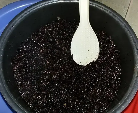 Cách Nấu Xôi Nếp Than Xuan Hong