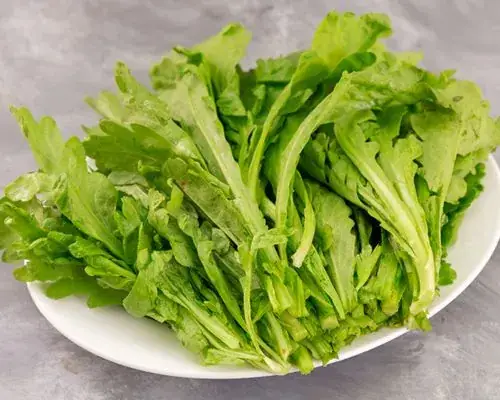 Cách Nhặt Rau Cải Cúc