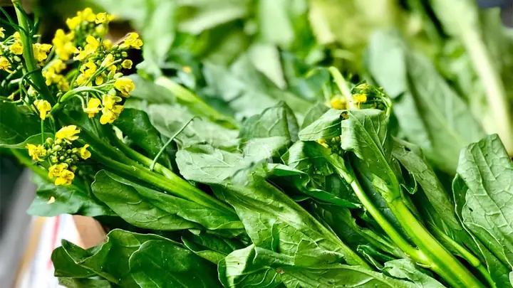 Cách Nhặt Rau Cải Ngồng