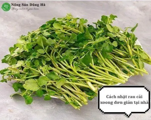 Cách Nhặt Rau Cải Xoong