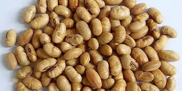 Cách Rang Đậu Nành Nấu Nước Uống