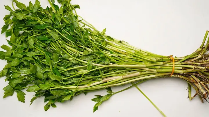 Cách Sơ Chế Cần Tây