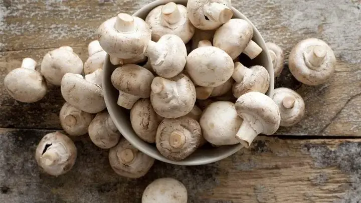 Cách Sơ Chế Nấm Mỡ