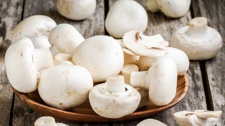 Cách Sơ Chế Nấm Mỡ Trắng
