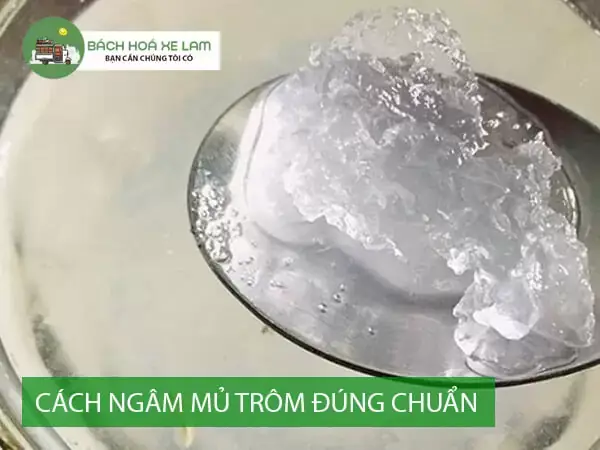 Cách Sử Dụng Mủ Trôm
