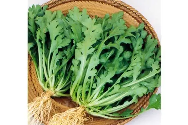 Cải Cúc Và Tần Ô