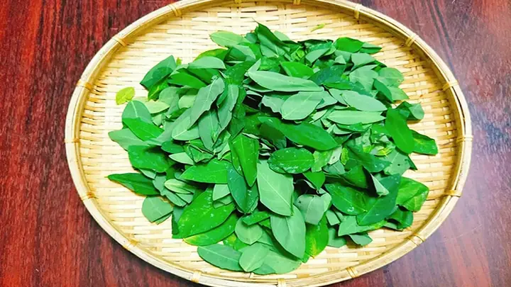 Canh Rau Ngót Bao Nhiêu Calo