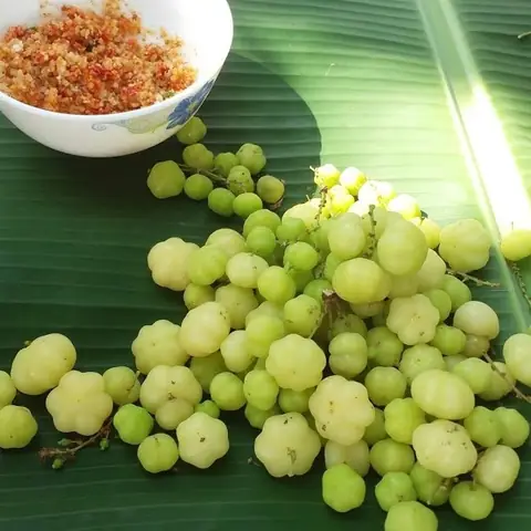 Chùm Ruột Là Quả Gì