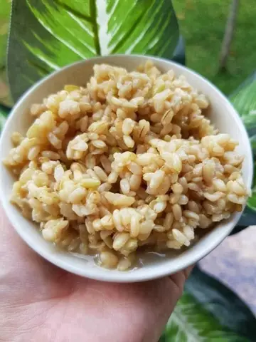 Cơm Rượu Để Được Bao Lâu Trong Tủ Lạnh