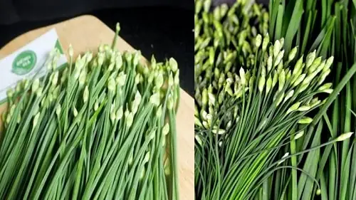 Công Dụng Của Bông Hẹ
