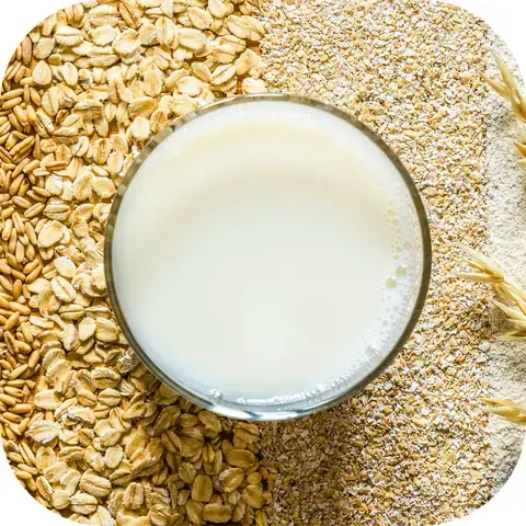 Công Dụng Của Hào Sữa