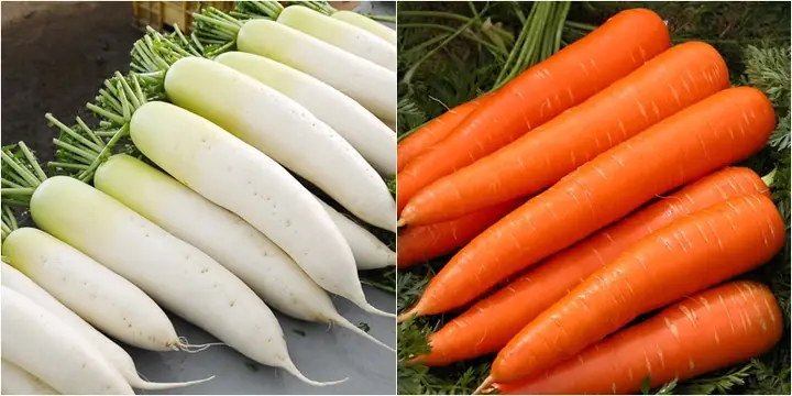 Củ Cải Nấu Chung Cà Rốt