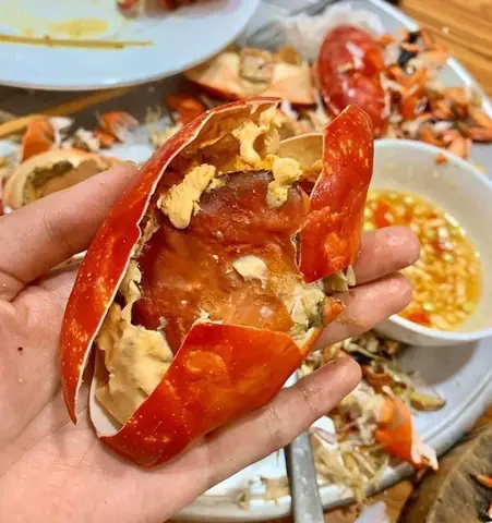Cù Kỳ Là Con Gì