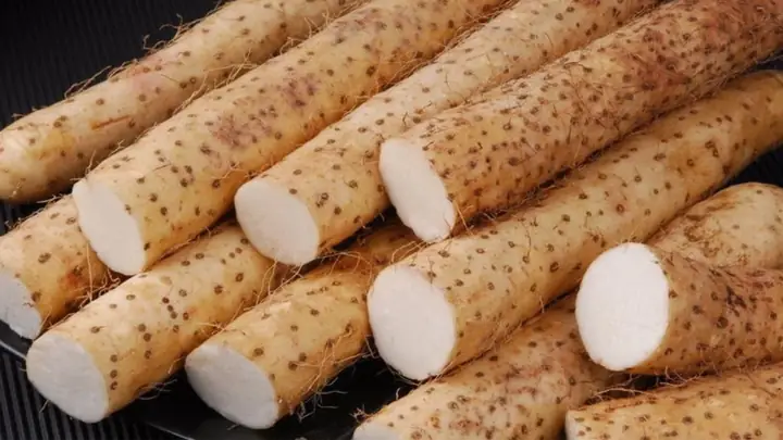Củ Mài Và Củ Từ