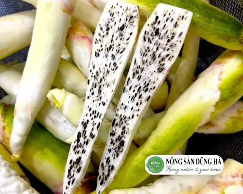 Củ Niễng Bị Đen Bên Trong