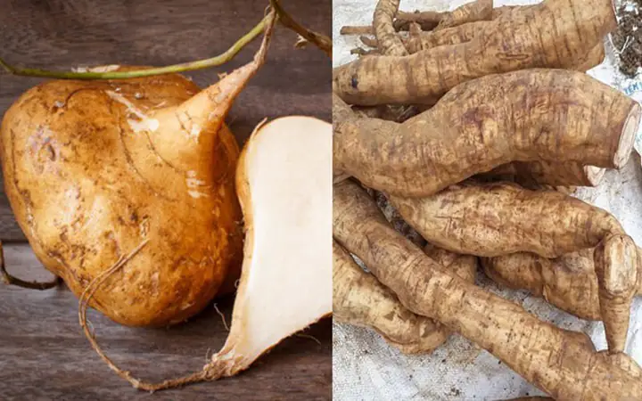 Củ Sắn Dây Và Củ Khoai Mì