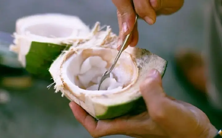 Cùi Dừa Non Có Tác Dụng Gì