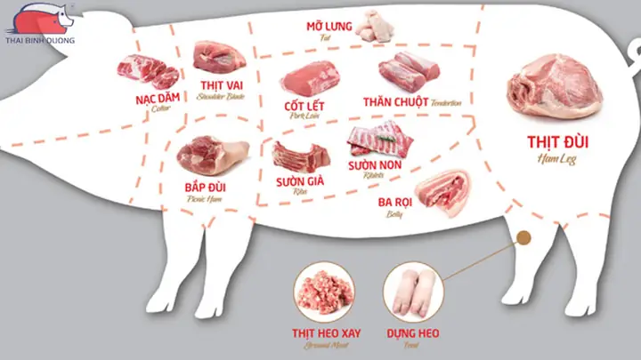 Diềm Heo Nằm Ở Vị Trí Nào