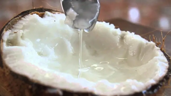 Dừa Sáp Ăn Như Thế Nào