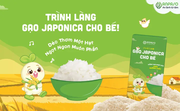 Gạo Cho Bé Ăn Dặm