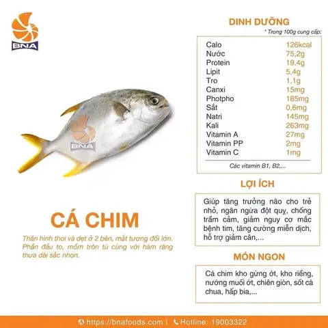 Giá Cá Chim Trắng Biển