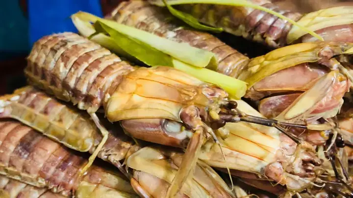 Hấp Bề Bề Bao Nhiêu Phút
