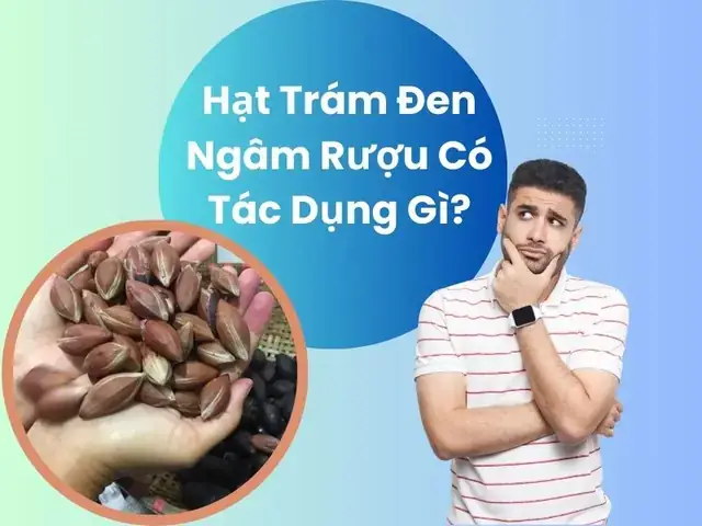 Hạt Trám Đen Ngâm Rượu Có Tác Dụng Gì