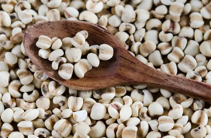 Hạt Ý Dĩ Là Hạt Gì