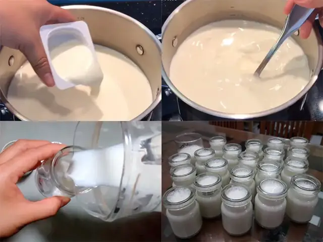 Hình Ảnh Sữa Chua Tự Làm