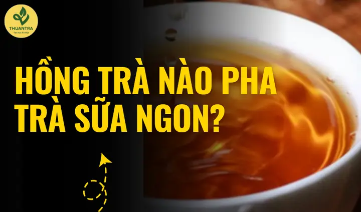 Hồng Trà Nào Pha Trà Sữa Ngon