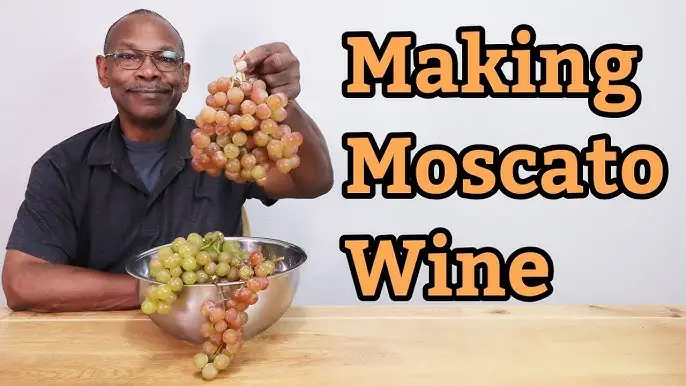 How To Make Moscato Wine