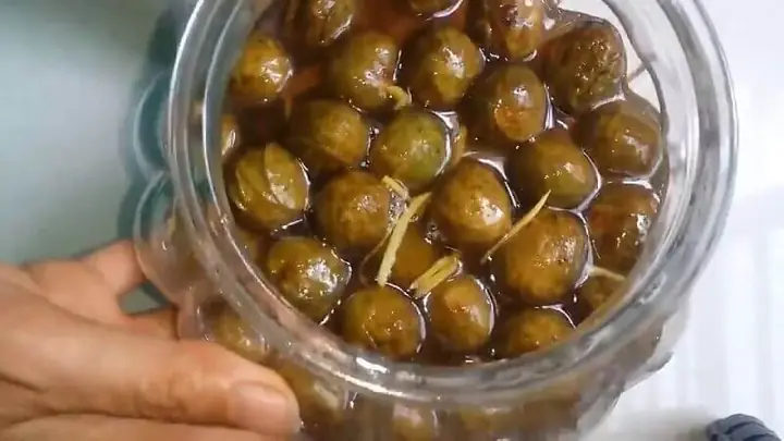 Hướng Dẫn Ngâm Sấu Đường Ngon