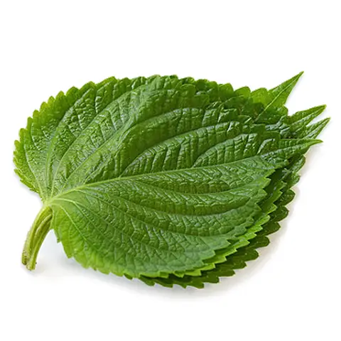 Lá Ăn Đồ Nướng Hàn Quốc